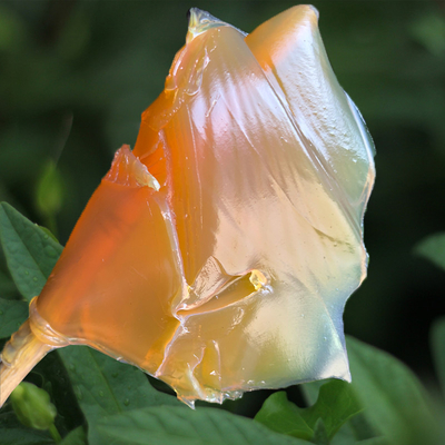 Graisses pour éoliennes à base de sulfonate de calcium composite
