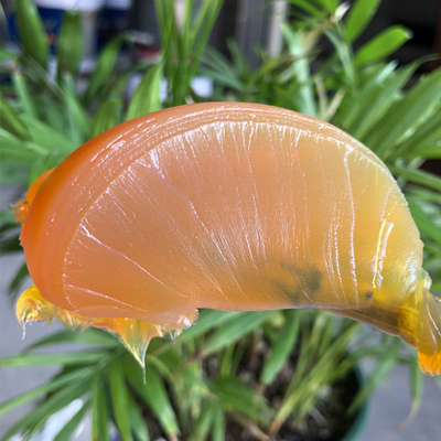 Poudre étanche à la poussière Transparent châssis automobile fuseau roulement graisse pour les besoins universels
