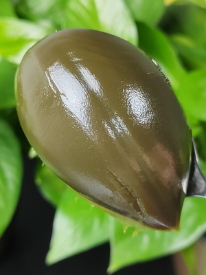 Graisse de roulement à base d'huile de roulement à haute viscosité pour roulement de roulement Lubrification de roulement Couleur verte